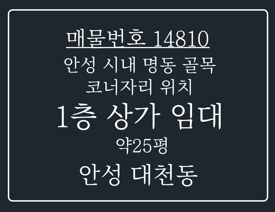 경기 안성시 대천동 안성 시내 명동 골목 상가 코너자리 위치한 1층 상가 임대 월세 매물번호 14810 사진 1