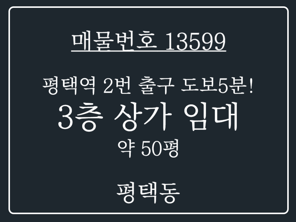 경기 평택시 평택동 평택역 2번출구 도보 5분 평수 넓은 공실 상가 매물 월세 매물번호 13599 사진 1
