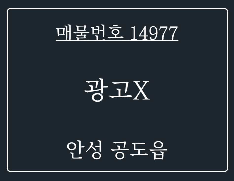 경기 안성시 공도읍 만정리 분양 월세 매물번호 14977 사진 1
