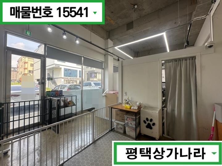 경기 평택시 용이동 용죽지구 대로변 위치! 동물병원있어 고객확보 유리한 1층 상가 임대 월세 매물번호 15541 사진 3