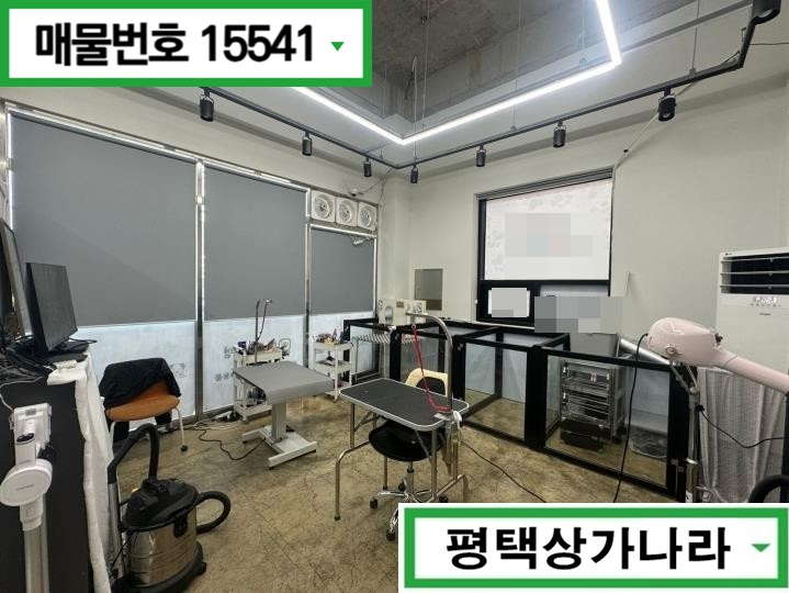 경기 평택시 용이동 용죽지구 대로변 위치! 동물병원있어 고객확보 유리한 1층 상가 임대 월세 매물번호 15541 사진 4