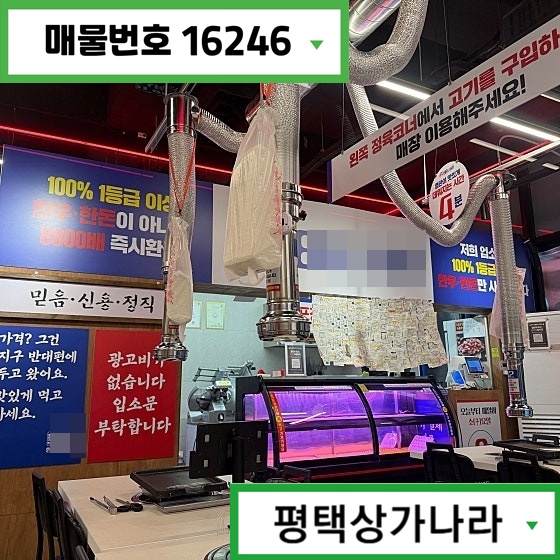경기 평택시 고덕동 고덕동 무권리 1층 상가 임대 삼성·아파트 더블상권 월세 매물번호 16246 사진 4
