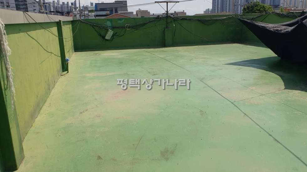 경기 평택시 서정동 343-22 [평택 서정동] 서정리역 인근 올수리 쓰리룸 임대 월세 매물번호 16436 사진 6