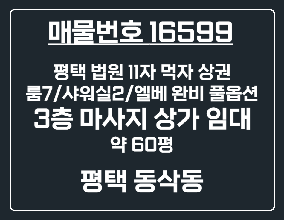 경기 평택시 동삭동 [평택 동삭동] 평택법원 먹자상권 중심부 3층 마사지 상가 임대 월세 매물번호 16599 사진 1