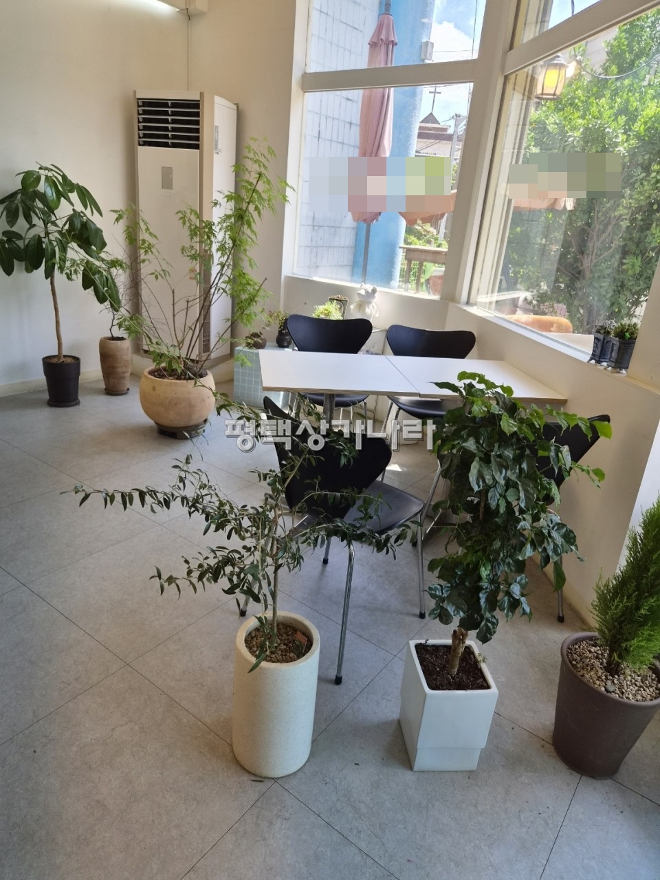 경기 평택시 고덕면 궁리 [평택 고덕면] 사실상 무권리 아파트 단지 내 상가 1층 카페 임대 월세 매물번호 16645 사진 4